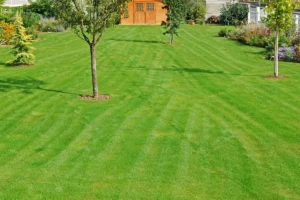 Robot pour une très grande pelouse jusqu'à 6500 m2